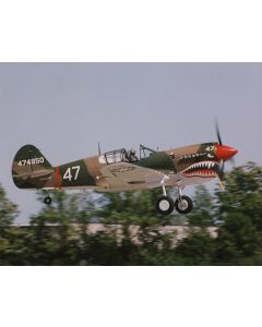 Curtiss P-40 Warhawk 474850 | Flying Tigers WWII Fighter Photo by Stuart H. Bourne